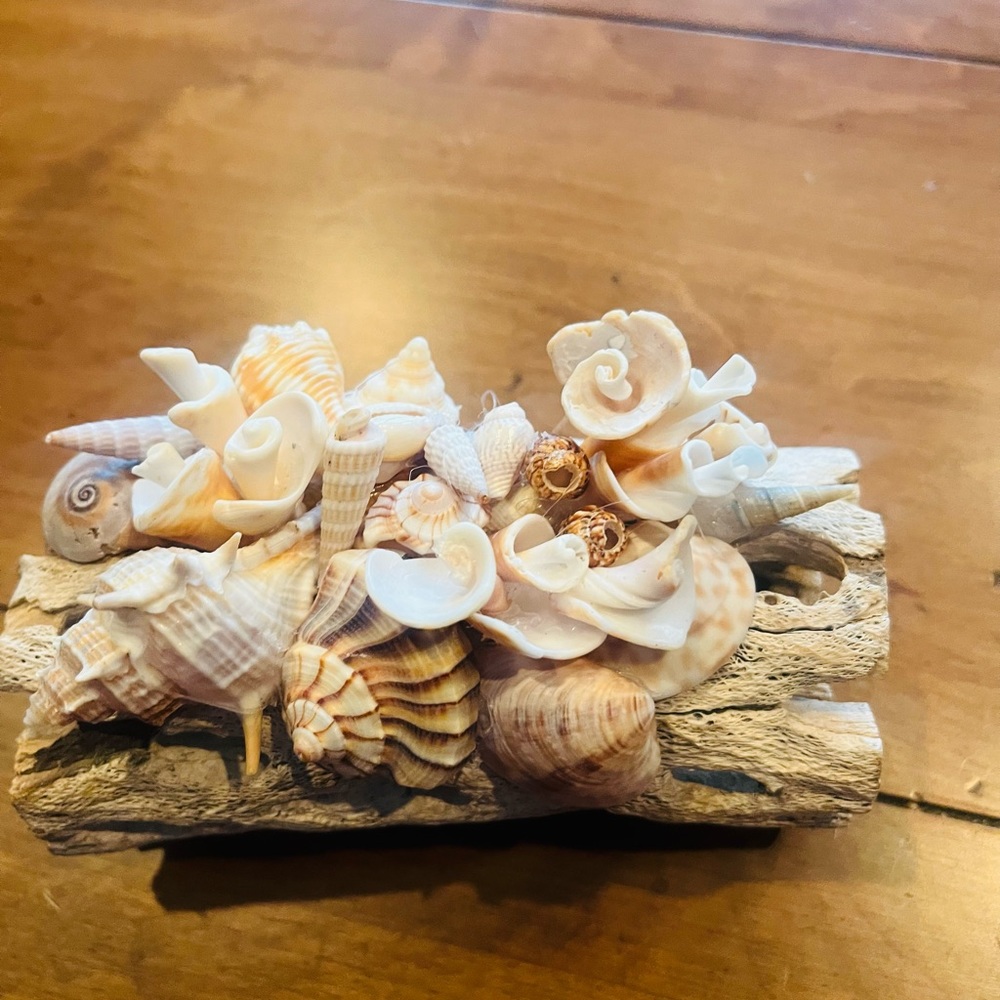 Handmade Seashell Driftwood Art - Picture 2 of 6